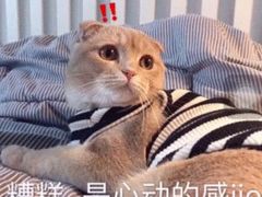 -韩宫宴烤肉·料理(苏州中心店)