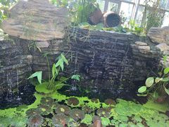 -国家植物园南园