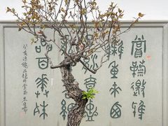 -杭州植物园