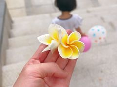 -海口喜来登酒店