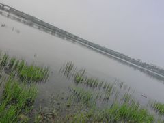 -绿堤公园