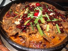 -老板恋上鱼(高新万达店)