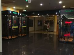 -大地影院(宁波培罗成店)