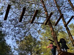 -梦幻奥陶纪景区