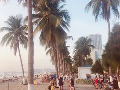 -芽庄洲际酒店自助餐厅