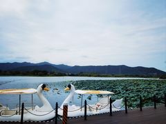 -长田漾湿地公园