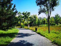 -东郊湿地公园