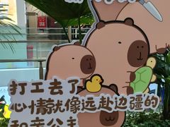 -凯德MALL(西直门店)
