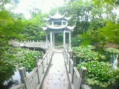 -金孔雀温泉旅游度假村