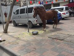 -大明铜锅·烤涮坊·烧烤(总店)