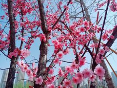 -木塔寺遗址生态公园