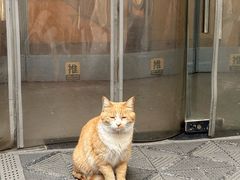 -新华里咖啡书吧(新华书店小寨店)