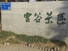 -灵谷景区