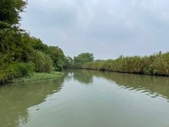 -西溪国家湿地公园