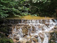 -青峰峡国家森林公园