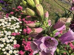 -苏州上方山国家森林公园