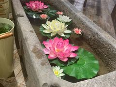 -茶马花街(城西银泰城店)