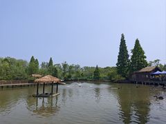 -溱湖国家湿地公园