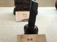 -安徽省地质博物馆