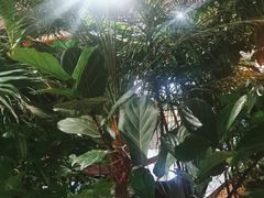 -特味村福园