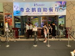 门面-帝企鹅自助餐厅•儿童岛•真企鹅(长隆企鹅酒店)
