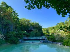 -吴淞炮台湾湿地森林公园烧烤区