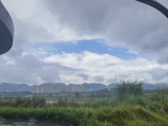 -金海湾滨江公园
