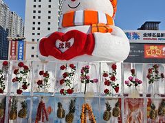 -盛京大奥莱(沈阳奥体店)