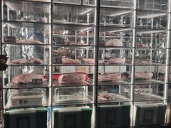 -觅福里•熟成和牛餐厅