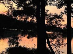 -红花湖景区