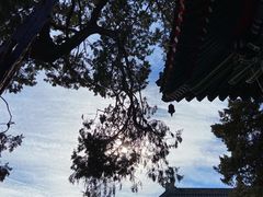 -妙应寺白塔
