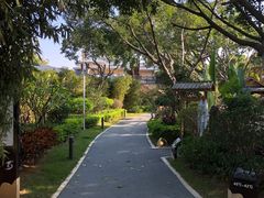 -龙佳生态温泉山庄