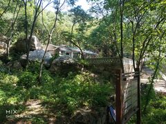 -大岭沟猕猴桃谷风景区