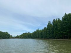 -上海海湾国家森林公园