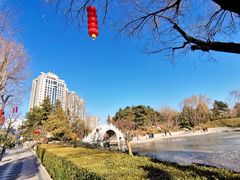 -团结湖公园