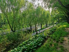 -元大都城垣遗址公园