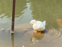 -映月湖公园