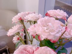 -晶雅花园西餐厅(南京首店)