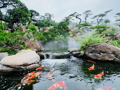 -罗红摄影艺术馆