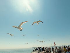 -海驴岛(荣成市)