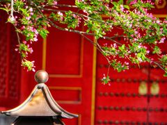 -故宫博物院(故宫)