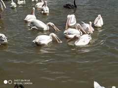 -新疆天山野生动物园