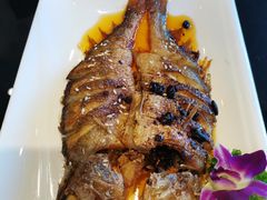 豆豉黄鱼-碧丽宫大酒店(召稼楼店)