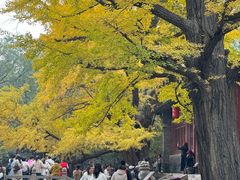 -晋祠公园