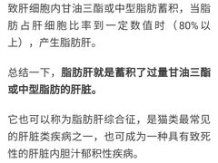 -联合动物医院(光谷诊疗中心)