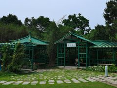 -渤公岛生态公园