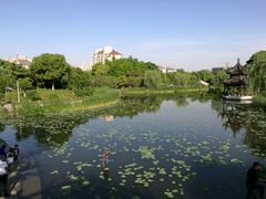 -花溪公园
