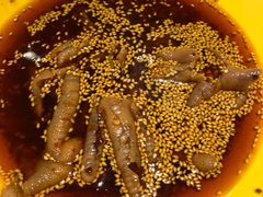 -明洋钵钵鸡(春田小区店)
