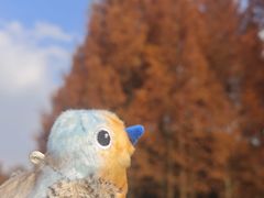 -白鹭湾湿地公园