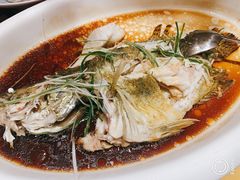 -津菜典藏河西店(水上店)